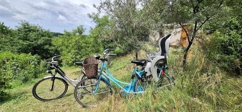 Jízda na kole v ubytování ViaDowinaGardens nebo okolí