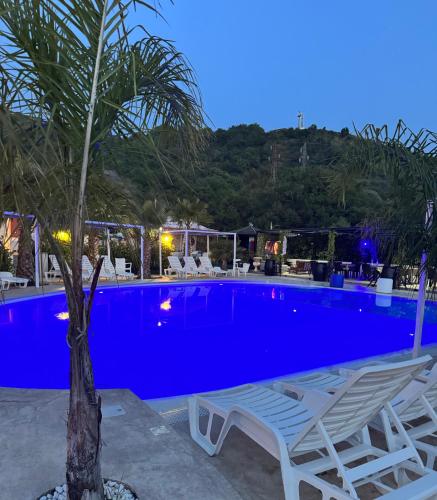 a blue swimming pool with chairs and a palm tree at L'oasi del Tuffatore in Agropoli