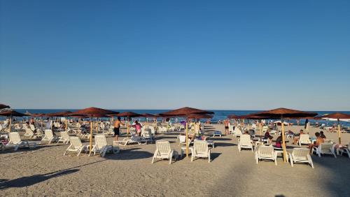 a beach with chairs and umbrellas and people on the beach at Hotel Cometa in Jupiter