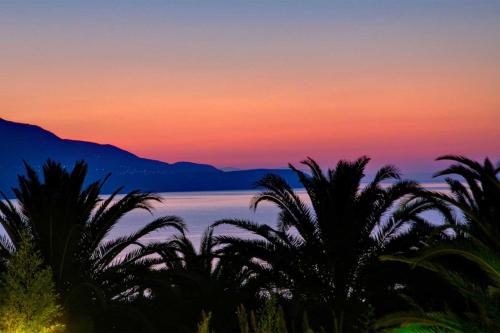 Φυσικό τοπίο κοντά σε αυτό το διαμέρισμα