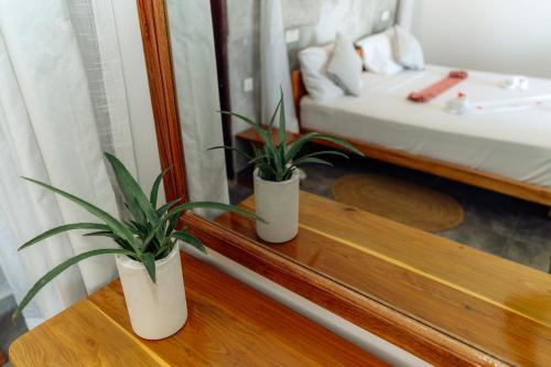 two plants sitting on a shelf in a bedroom at Savera Beach Houses in Jambiani