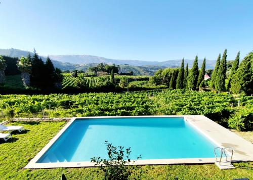 Πισίνα στο ή κοντά στο Casa das Feitorias Douro Valley