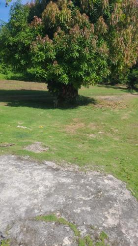 Un jardín fuera de Negril Retreat Oceanfront Access