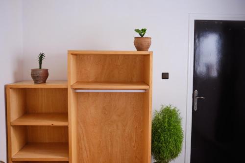 a room with wooden shelves with potted plants next to a door at Surfer's Heimat Hostel in Tamraght Ouzdar