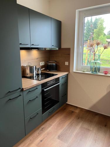 a kitchen with blue cabinets and a window and a stove at FeWo mit Alpaka Blick in Bad Gandersheim
