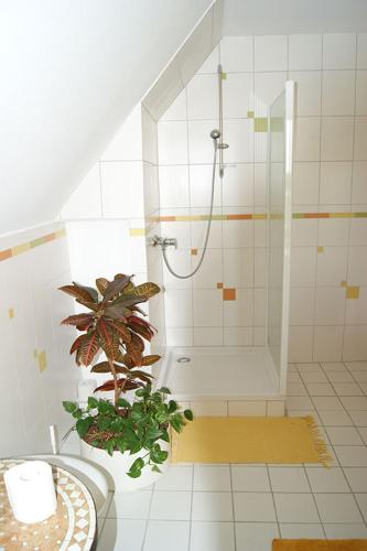 a bathroom with a shower and a plant in it at Pension Espenhof 