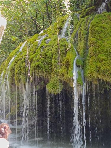 ein Wasserfall auf einem moosbedeckten Felsen, aus dem Wasser strömt in der Unterkunft Palazzo Menghina in Casaletto Spartano