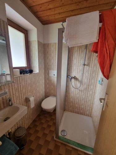 a bathroom with a shower with a toilet and a sink at Schlossberg in San Leonardo in Passiria