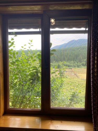 a window with a view of a field at Під Явором in Vorokhta