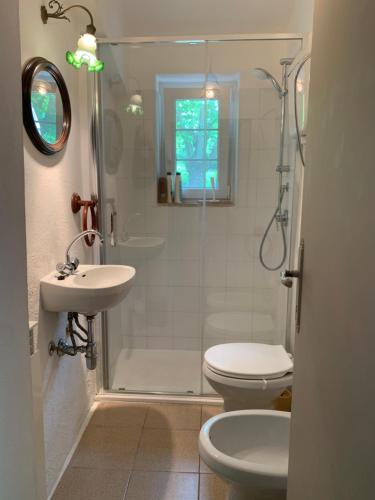 une salle de bains avec douche, toilettes et lavabo dans l'établissement Vrijstaand vakantiehuis La Piccigliana - 6 personen, à Montelaterone
