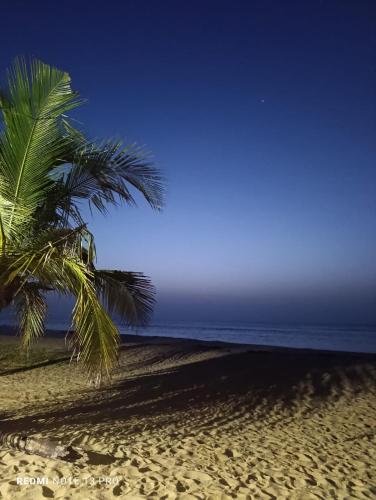 a palm tree on a sandy beach near the ocean at The Tasty Tuna Cabana in Arugam Bay