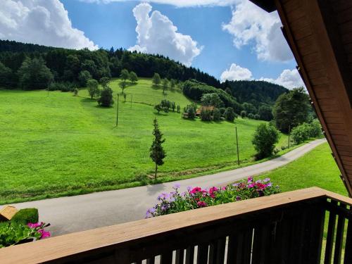a view from a balcony of a road with flowers at Gästehaus Rehm in Prinzbach