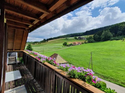 a balcony with flowers and a view of a field at Gästehaus Rehm in Prinzbach
