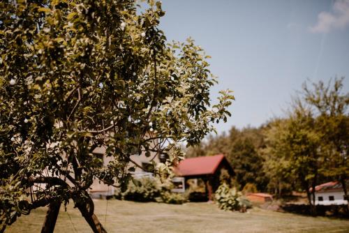 Κήπος έξω από το Agroturystyka u Marleny