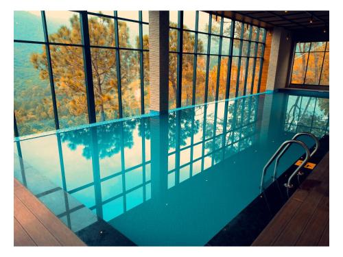 Bazén v ubytování Jungle Lodge Resort nebo v jeho okolí