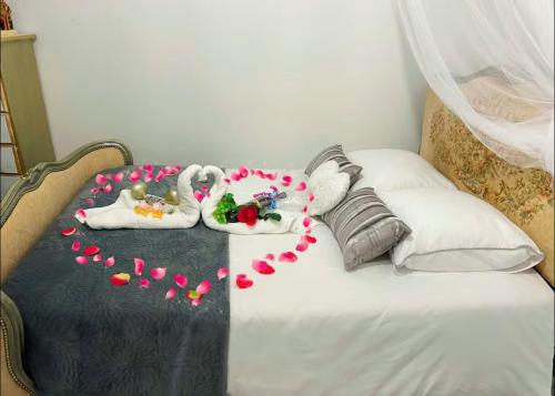 CARCASSONNE Studio avec Jacuzzi y piscina