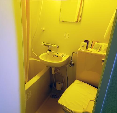 a small bathroom with a sink and a toilet at Ace Inn Asakusa in Tokyo