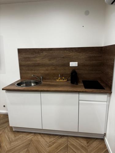 une cuisine avec un évier et un comptoir avec un évier dans l'établissement Suite cap d Agde, au Cap d'Agde