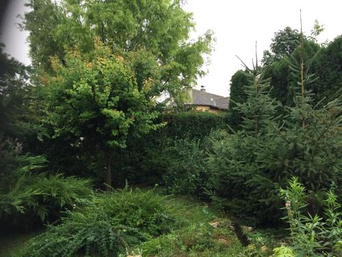 a garden with bushes and trees in front of a house at Home Apartman in Nagyesztergár
