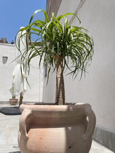 Ca' Semu photo 22