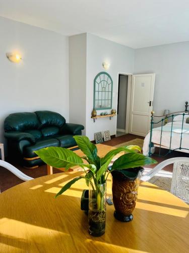 a living room with a table with a plant on it at Follyfoot Manor in Midrand