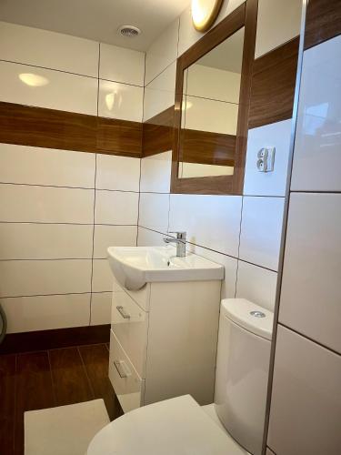 a bathroom with a white toilet and a sink at Willa Pod Orłem Jacuzzi Sauna in Kościelisko