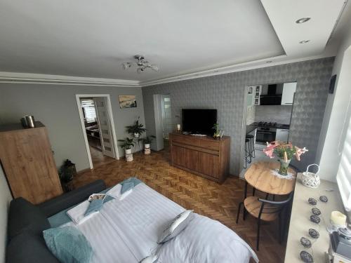 Μια τηλεόραση ή/και κέντρο ψυχαγωγίας στο Apartament Park Saski