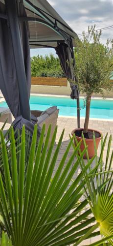 Πισίνα στο ή κοντά στο Annabella Apartmanház