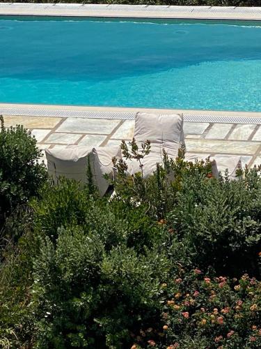 a view of a swimming pool with a couch and water at Harma Villas in Andros