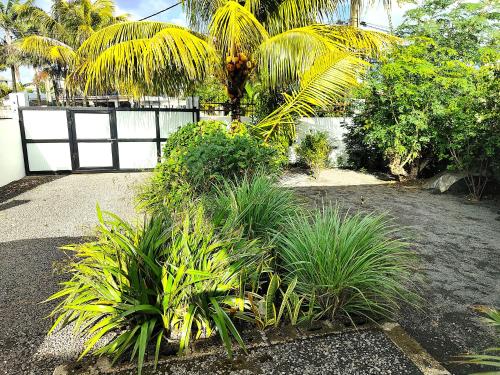 a garden with palm trees and plants in front of a fence at Noulakaz, séjour paisible à 10 min de Belle Mare in Argy