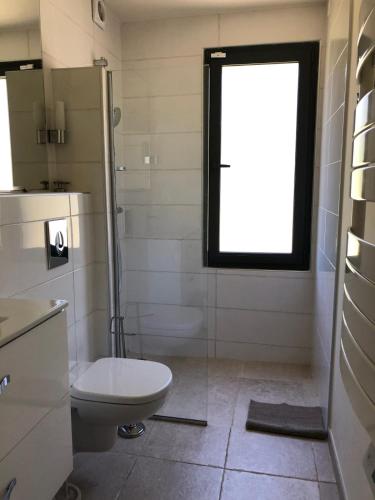a bathroom with a toilet and a shower and a window at Maison des Vignes Swimming pool and charm in Lauris in Lauris