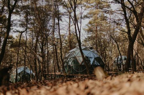 Landskap semula jadi dekat dengan resort