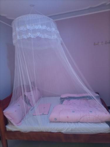 a bed with a mosquito net on top of it at Pearl furnished residence in Buloba
