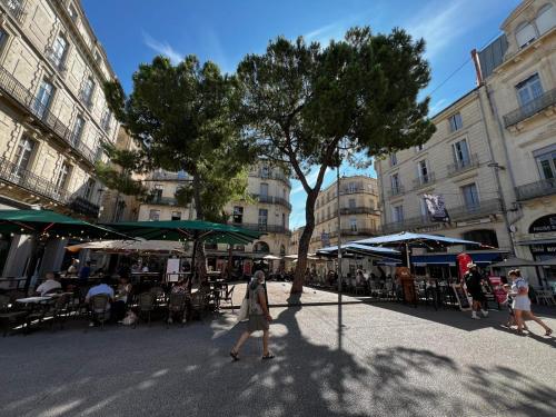 Foto Appartement Hypercentre Montpellier 6