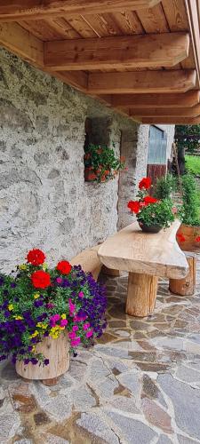 a patio with a table with flowers and a bench at Mas del Mezdì - mountain chalet Val di Rabbi in Rabbi
