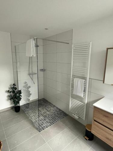 a bathroom with a shower with a glass door at Cottage Cozy Gästehaus in Goslar
