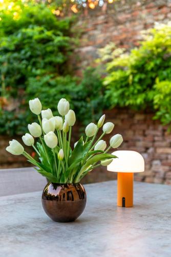 Domus Carla with Garden R&R photo 45