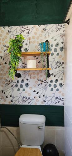 Un baño con inodoro y una pared florida. en Cottage On Naboom, en Marloth Park