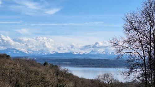 a view of a lake with mountains in the distance at La Petite Fleur in Enges