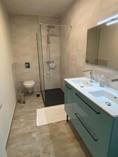 a bathroom with a sink and a shower with a toilet at Ma tonnelle fleurie in Beaumont-de-Lomagne