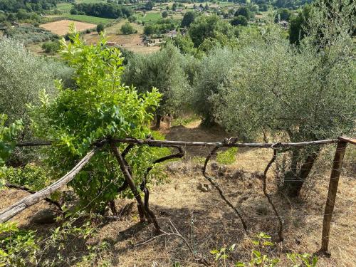Φυσικό τοπίο κοντά σε αυτή η παραθεριστική κατοικία