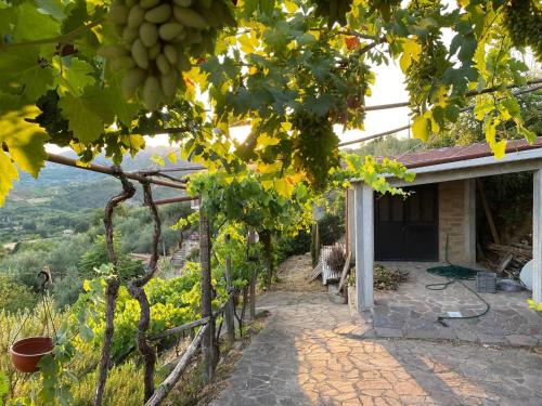 Φωτογραφία από το άλμπουμ του Hillside home with fantastic view - 7 beds - only 1h from Rome σε Olevano Romano
