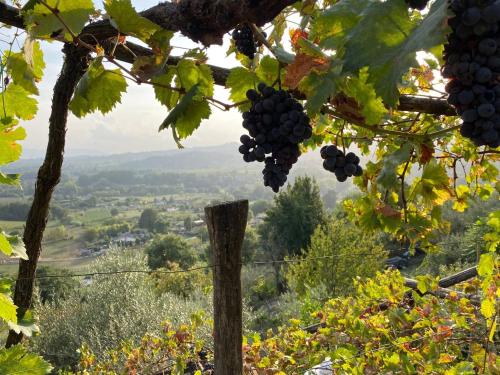 Φυσικό τοπίο κοντά σε αυτή η παραθεριστική κατοικία
