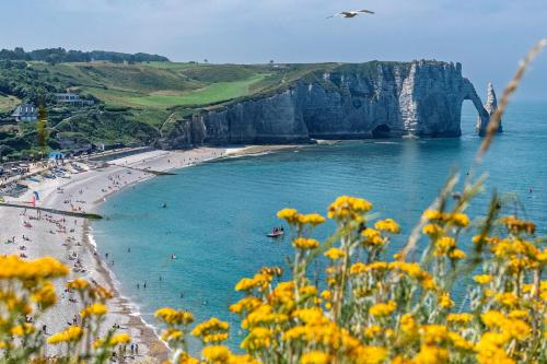 a view of a beach with yellow flowers at Résidence Goélia Les Portes d'Étretat in Maniquerville