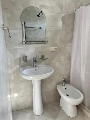 a bathroom with a sink and a mirror and a toilet at Tariba Guesthouse & Camping in Mestia