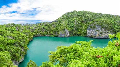 Naturlandskabet i nærheden af båden