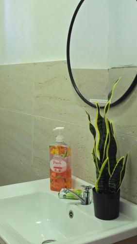 a bathroom sink with a bottle of soap and a plant at Tuaran Village Guesthouse in Tuaran