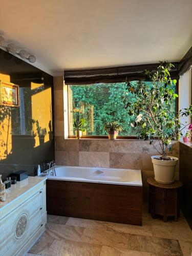 a large bathroom with a large tub and a window at Luxury Villa in Cluj-Napoca