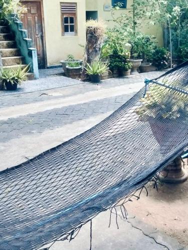Κήπος έξω από το Hotell Green Yala Safari