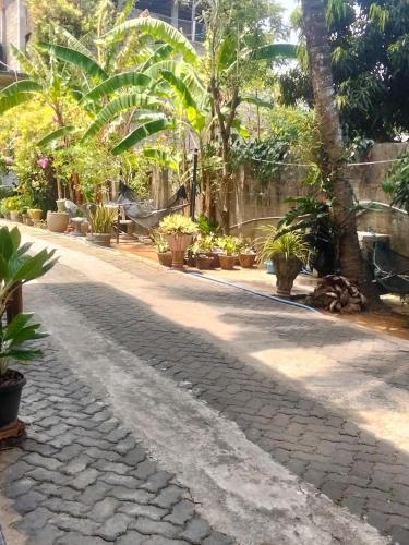 Κήπος έξω από το Hotell Green Yala Safari